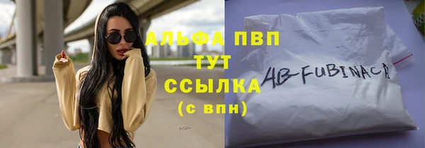 твердый Козельск