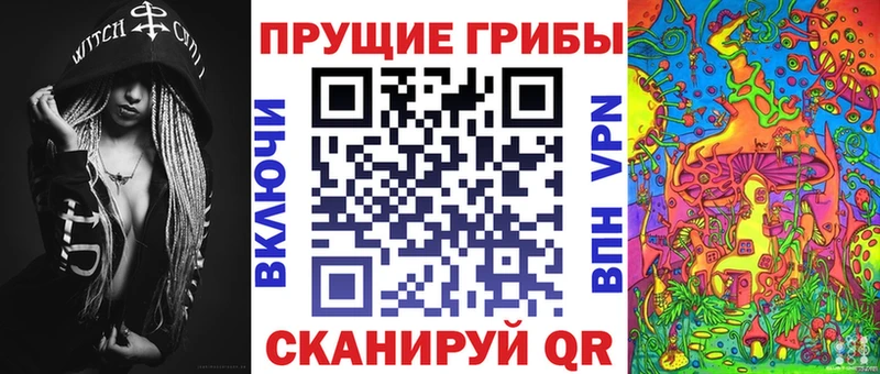 Галлюциногенные грибы Magic Shrooms  Купить закладки  Приволжск 